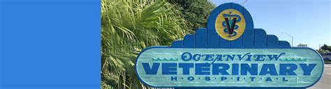 Ocean view vet - Ocean View Vet Clinic is a veterinarian at 118 Atlantic Ave, Ocean View, DE 19970 19970 and provides medical care for animals. Wellness.com provides reviews, contact information, driving directions and the phone number for Ocean View Vet Clinic. Directory.